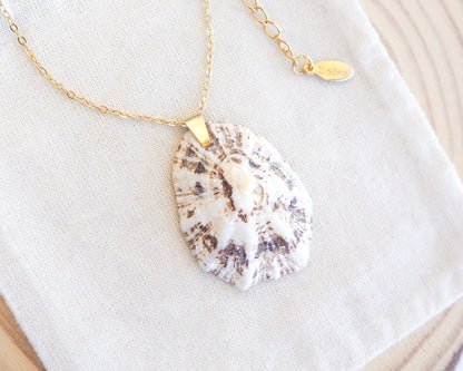 White Brown Mediterranean Limpet Shell Gold Necklace on display