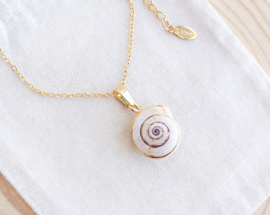 Mediterranean Sand Snail Gold Necklace II on display