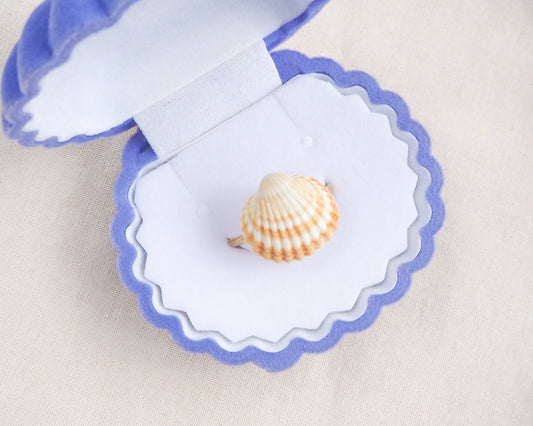 Handcrafted Mediterranean cockle shell ring VII from Portugal on display in seashell box, beach girl inspired jewelry, gold ring with Portuguese cockle shell, ocean inspired beach jewelry 