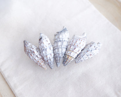 Mediterranean Horn Shells Hair Clip on display, Boho Seashell Beach Clip from Portugal, Handpicked Real Shells, Real Cerithium vulgatum Mediterranean Cerith shells, Seashell Hair Decoration, Bohemian Seashell Wedding Hair Assocciares, Coastal Christmas gift, Beach Wedding Hair