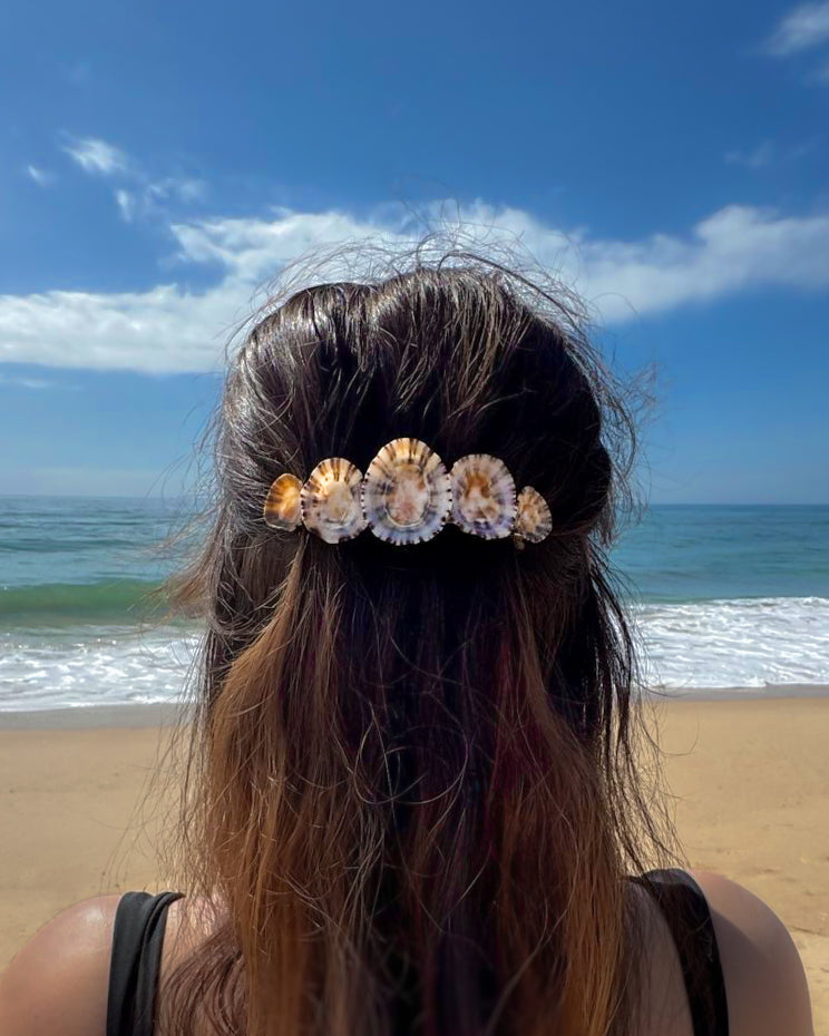 Limpet Shell Hair Clip in hair model with ocean background, Portuguese limpet shells, Mermaid hair barrette, 