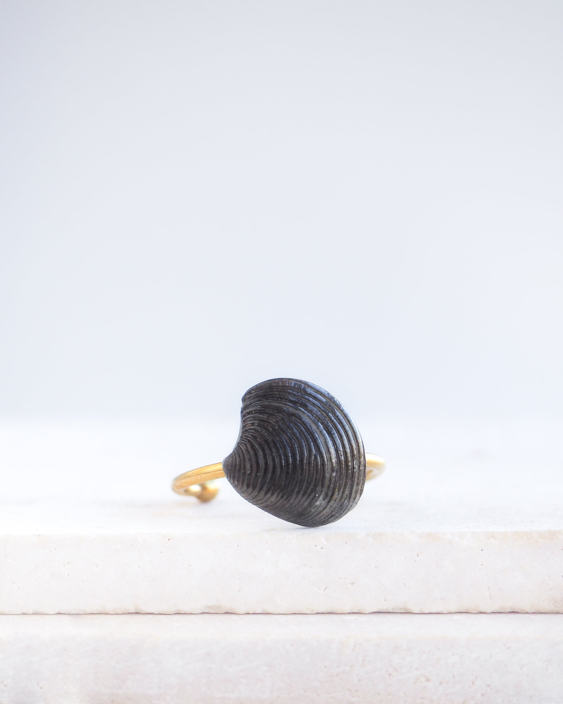 Tiny Black Venus Shell Gold Ring displayed on stone, Handpicked real black venus shell from Portugal, adjustable 18k gold stainless steel shell ring
