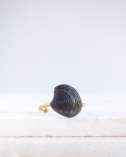 Tiny Black Venus Shell Gold Ring displayed on stone, Handpicked real black venus shell from Portugal, adjustable 18k gold stainless steel shell ring