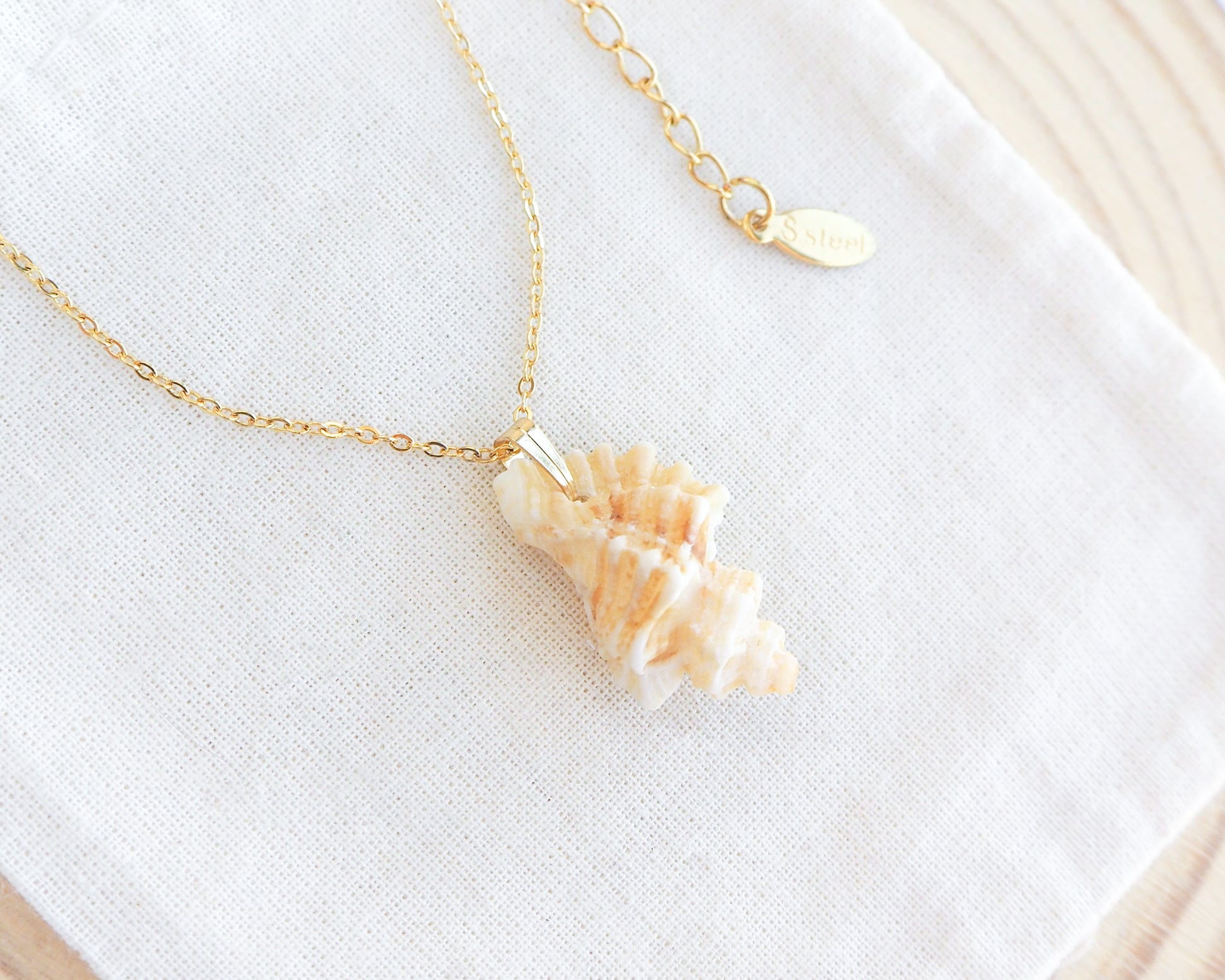 Close up of Light Sting Winkle Shell Necklace on cotton displayed, Shell handpicked from Portugal, Made with 18k gold stainless steel