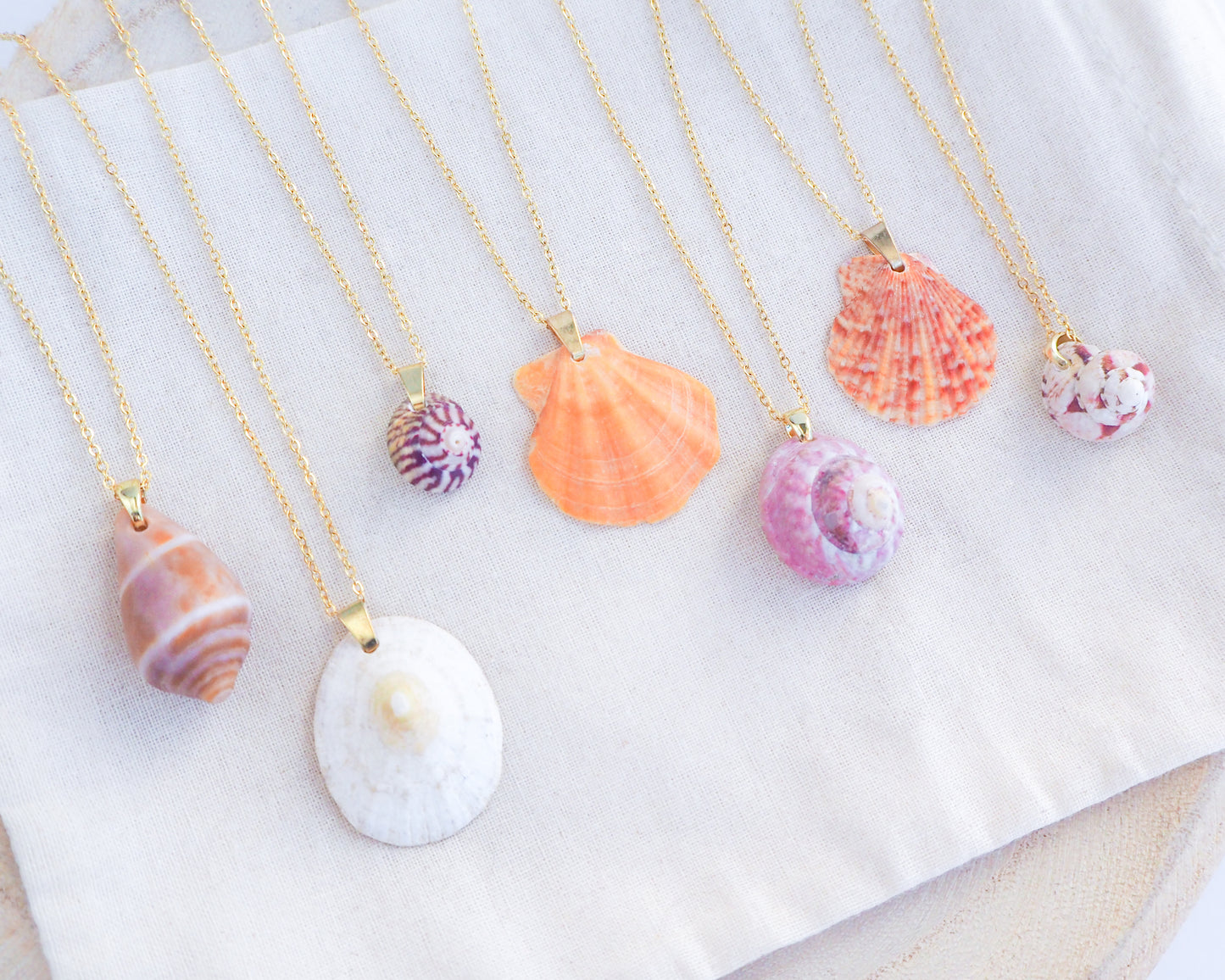 SEASHELL NECKLACE ~ Gold Mediterranean Cone Shell II