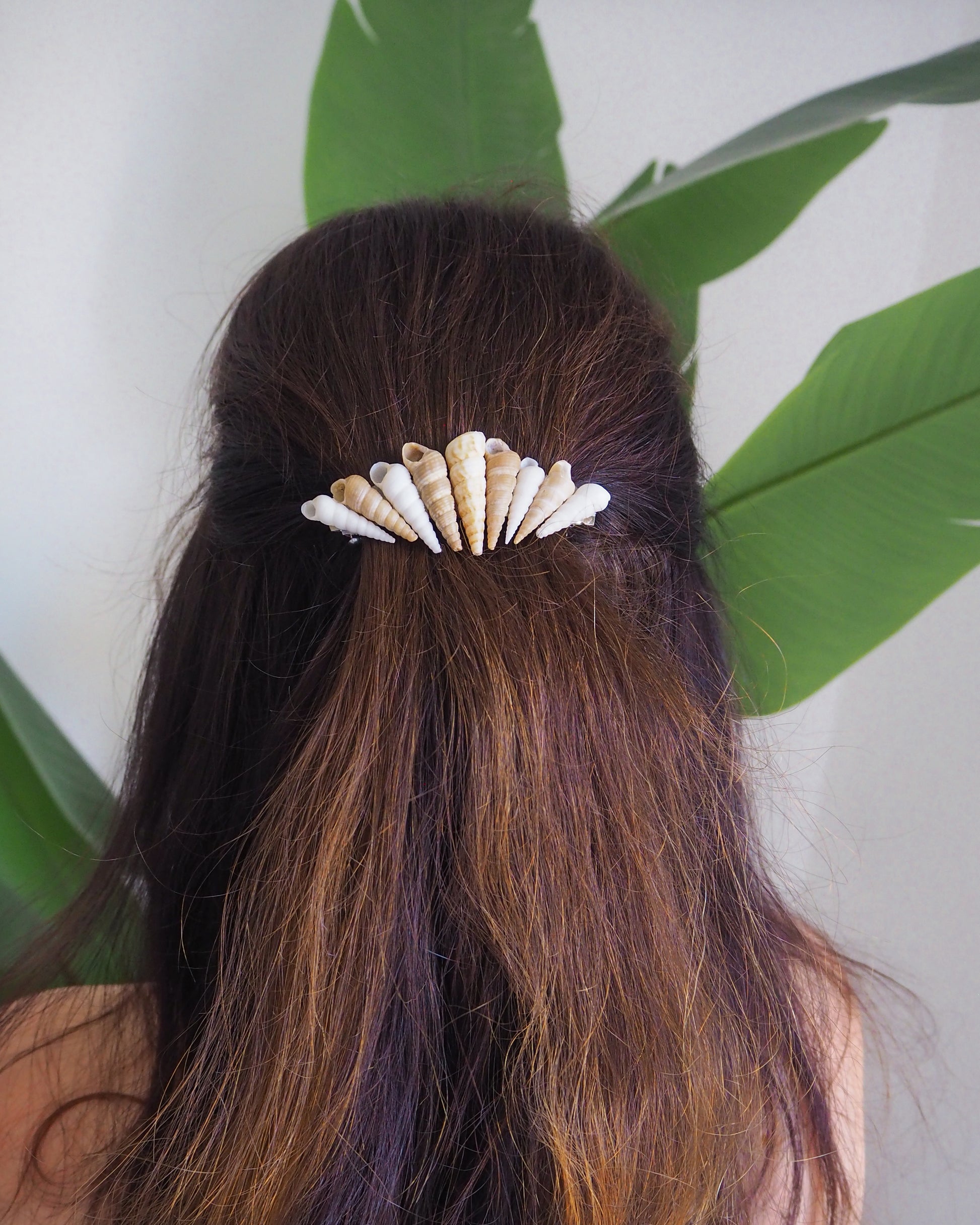 Model wearing Common Tower Shells Hair Clip Barrette, Boho Seashell Beach Clip from Portugal, Handpicked Real Shells, Seashell Hair Decoration, Bohemian Seashell Wedding Hair Assocciares, Coastal Christmas gift, Beach Wedding Hair