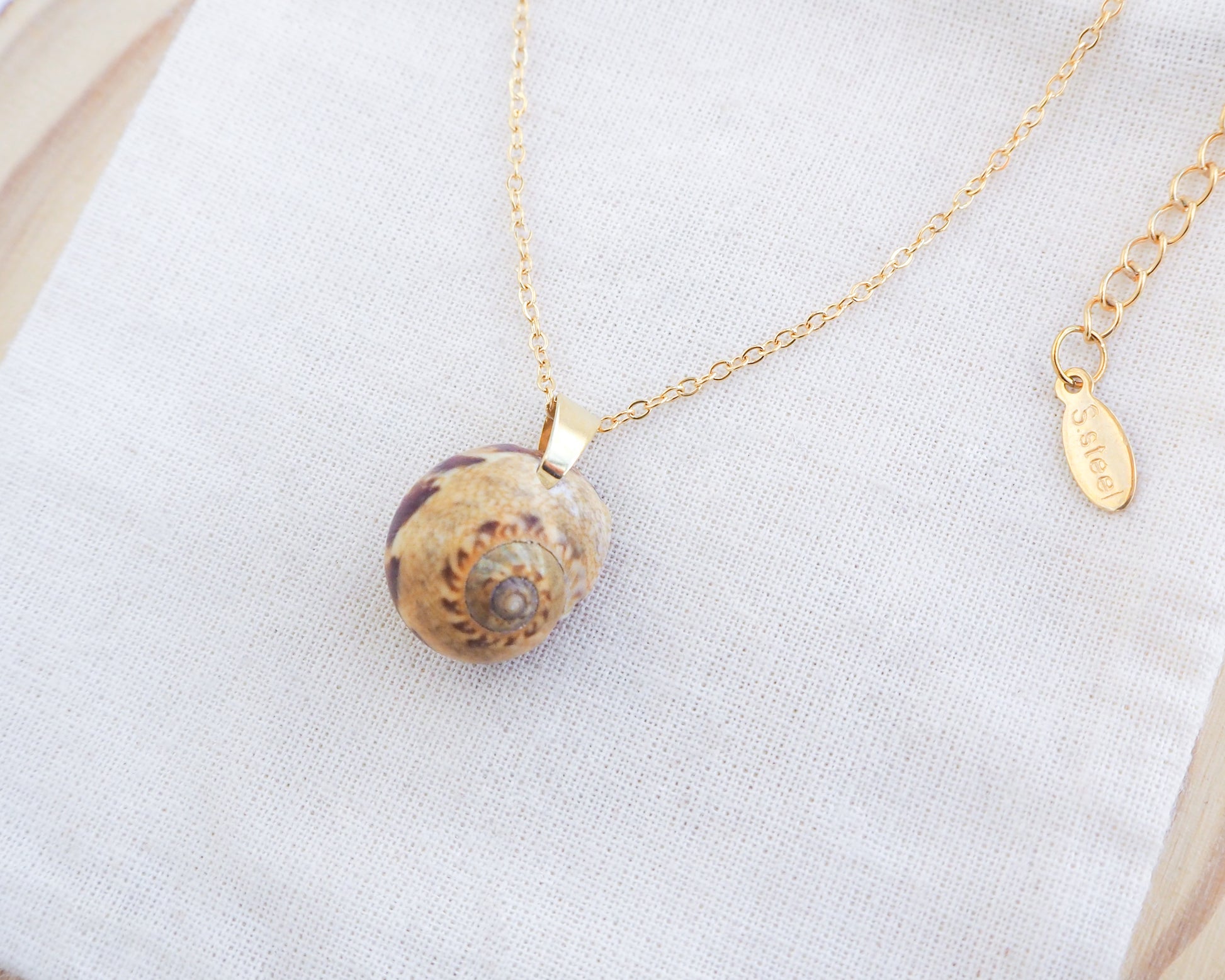 Moon Shell Gold Necklace on display, Shell from Portugal, Euspira nitida shell, Alders Necklace Shel