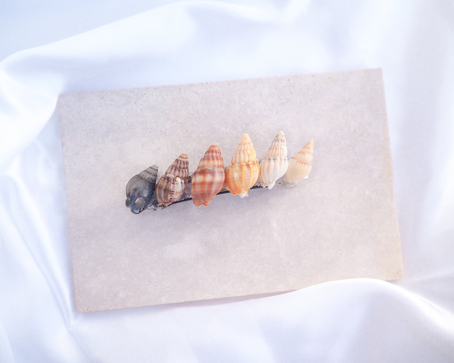 Set of colorful shell hair clips on a textured beige surface with a white background. Netted Dog Whelk Shells Rainbow Hair Clip Barrette on stone displayed, Boho Seashell Beach Clip from Portugal, Handpicked Real Shells, Seashell Hair Decoration, Bohemian Seashell Wedding Hair accessoires, Coastal Christmas gift, Beach Wedding Hair