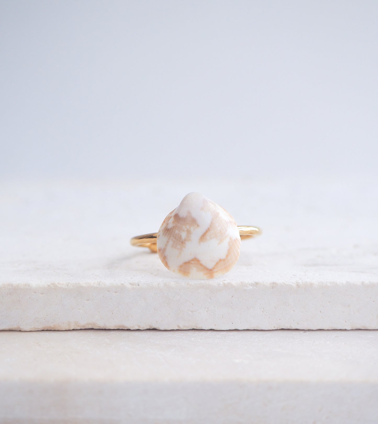 Norwegian Cockle Shell Gold Ring on displayed, 18k gold stainless steel adjustable ring, handpicked cockle shell from Portugal 