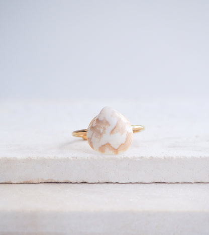 Norwegian Cockle Shell Gold Ring on displayed, 18k gold stainless steel adjustable ring, handpicked cockle shell from Portugal 