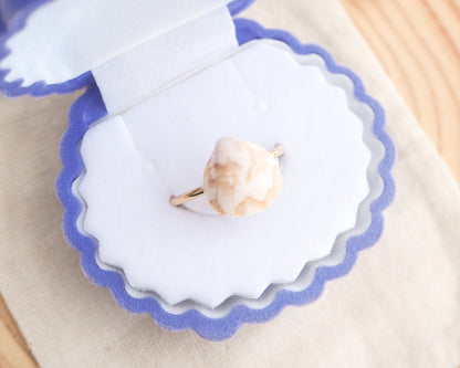 Norwegian Cockle Shell Gold Ring on displayed in blue velvet seashell jewelry box, 18k gold stainless steel adjustable ring, handpicked cockle shell from Portugal 