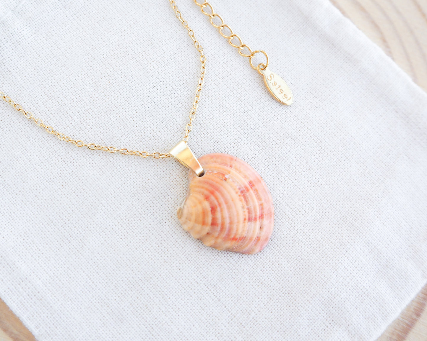 Orange Coral Venus Shell Gold Necklace on display