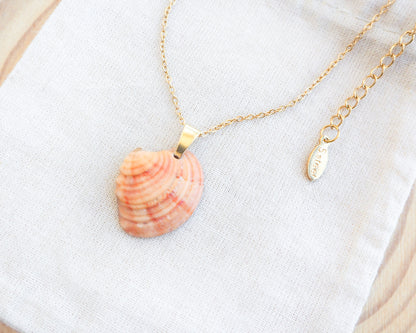 Side view of Orange Coral Venus Shell Gold Necklace on display