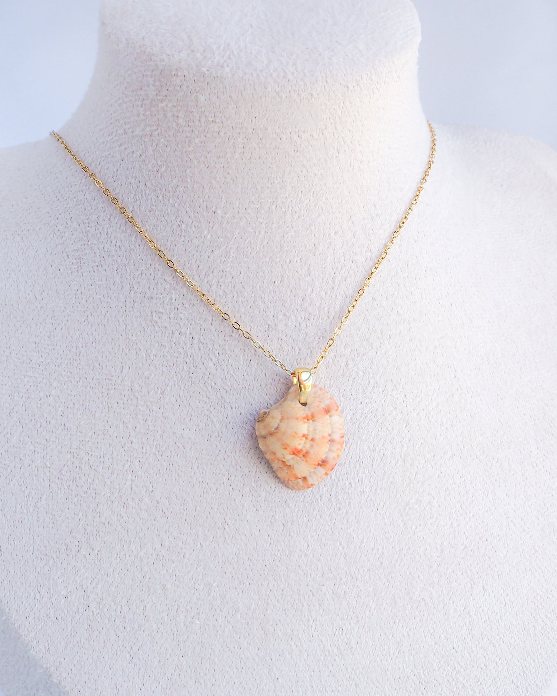 neck display with Orange Coral Venus Shell Necklace on display. Real natural venus shell handpicked from Portugal. Made with 18k gold stainless steel clasp and chain. 