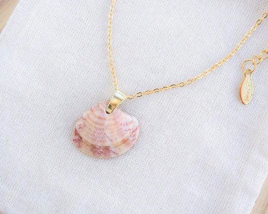 Orange Coral Venus Shell Necklace II on display side view