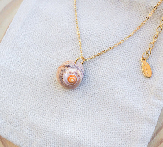 Lined Top Shell Gold Necklace, Shell from Portugal on display