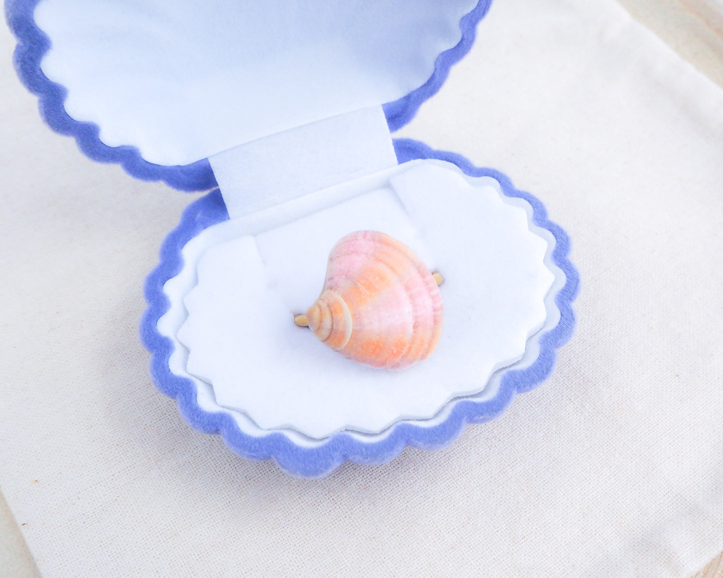 Orange Pink Venus Shell Gold Ring in Seashell Jewelry box
