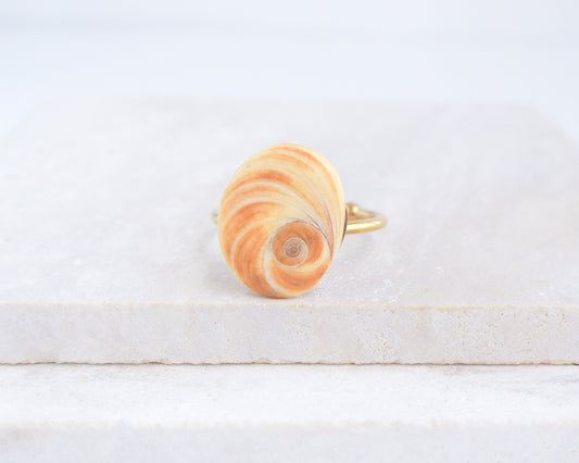 Close up of Orange Yellow Eye of Saint Lucia Shell Gold Ring displayed on stone front view, Handcrafted Orange Shiva Eye Ring, Real Shiva Eye from Portugal, Handpicked eye of saint lucia, gold stainless steel ring