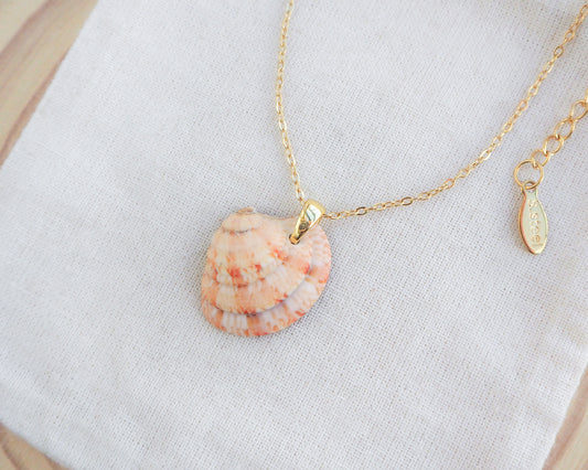 Orange Coral Venus Shell Necklace on display. Real natural venus shell handpicked from Portugal. Made with 18k gold stainless steel clasp and chain. 