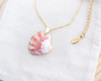 Gold Pink Coral Venus Shell Gold Necklace on display side view