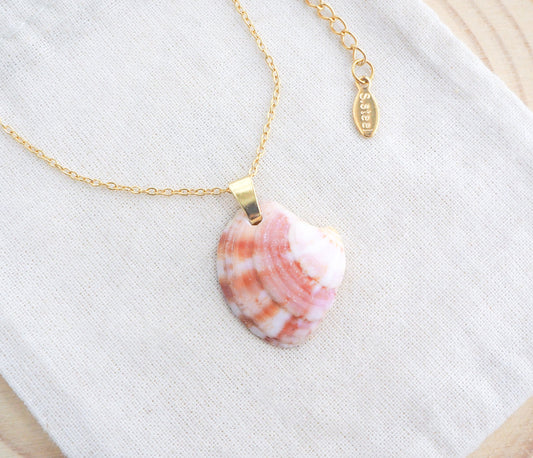 Pink Coral Venus Shell Gold Necklace on display