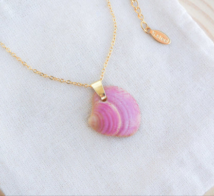 Pink Raspberry Venus Shell Necklace on display