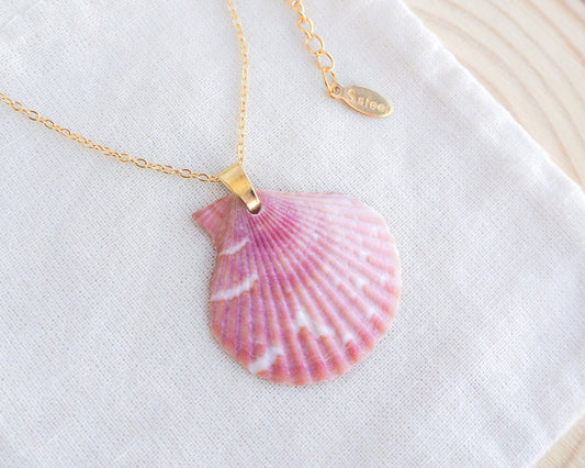 Pink Scallop Shell Gold Necklace on display, Scallop Shell from Portugal