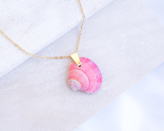 Pink Venus Shell on Gold Necklace displayed on stone, close up. Sea by lou, Pink Shell from Portugal 