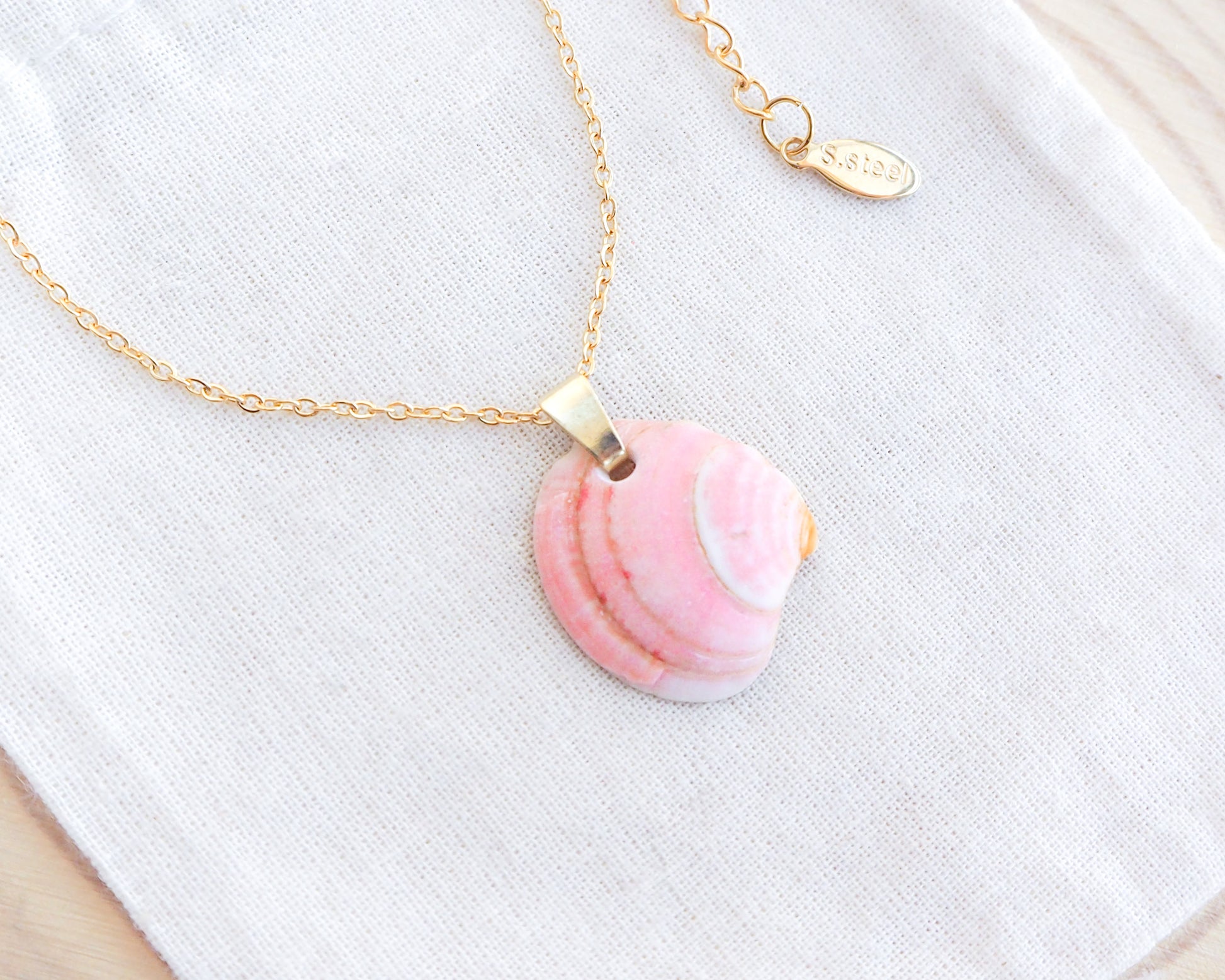 Necklace with a pink venus shell from portugal on a white background