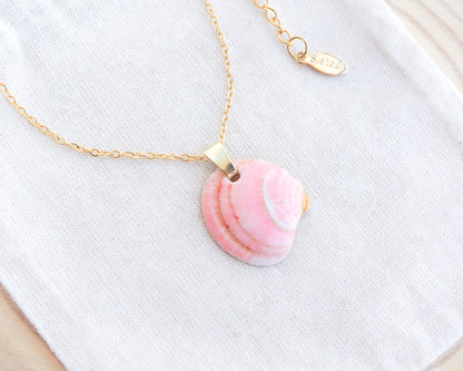 Necklace with a pink venus shell from portugal on a white background