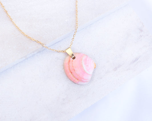 Pink Venus Shell Gold Necklace on stone displayed