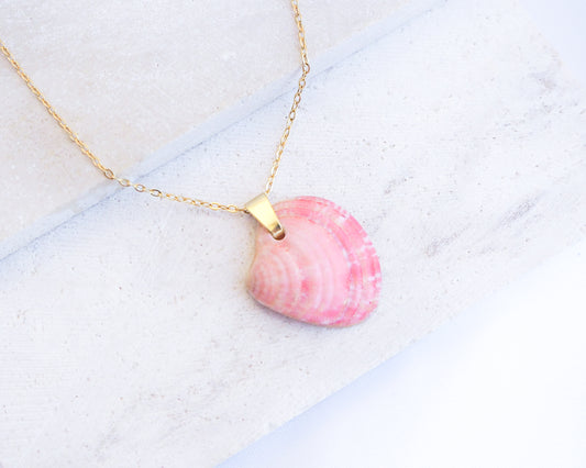 Pink Venus Shell Necklace on stone displayed. Pink Shell from Portugal. Necklace made with 18k gold stainless steel