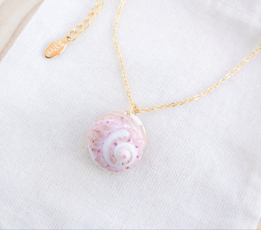 Pink White Shell Gold Necklace, Pink White Magus Top Shell from Portugal on display 