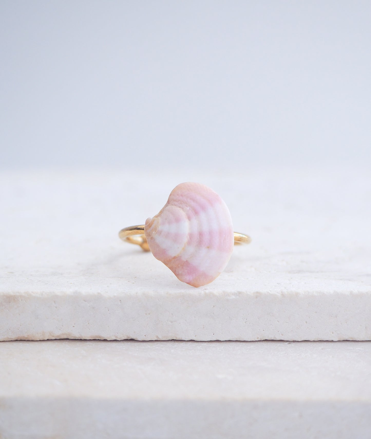 Pink White Venus Shell Ring from Portugal displayed on stone, Marble Pink shell on gold ring, handpicked real shell from Portugal