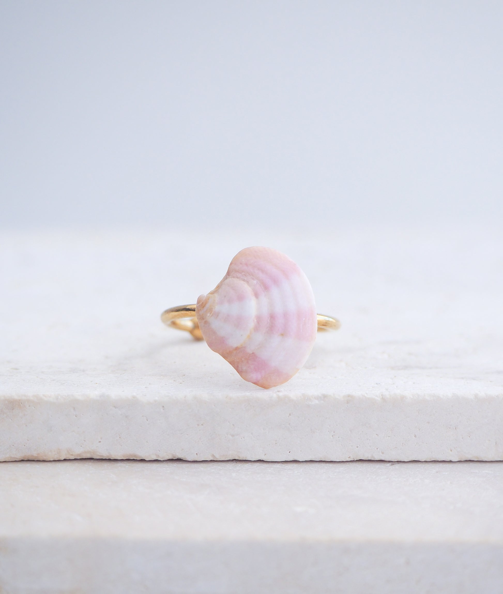 Pink White Venus Shell Ring from Portugal displayed on stone, Marble Pink shell on gold ring, handpicked real shell from Portugal