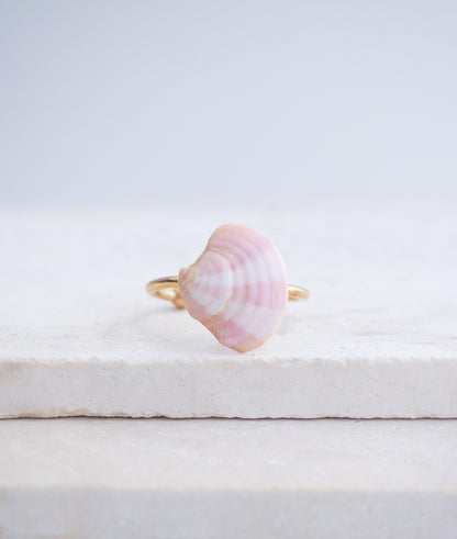 Pink White Venus Shell Ring from Portugal displayed on stone, Marble Pink shell on gold ring, handpicked real shell from Portugal