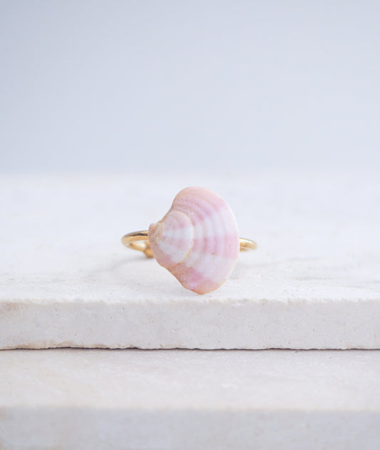 Pink White Venus Shell Ring from Portugal displayed on stone, Marble Pink shell on gold ring, handpicked real shell from Portugal