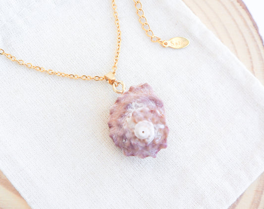 Pinkish Star Shell Gold Necklace on display, Rough Star Shell from Portugal