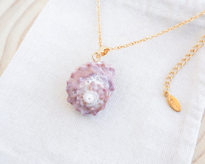 Pinkish Star Shell Gold Necklace on display, Rough Star Shell from Portugal