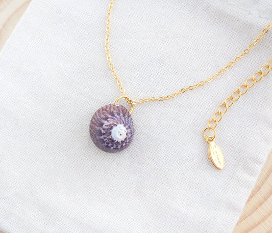 Plum Striped Top Shell Gold Necklace on display, Purple Striped Topshell from Portugal on gold chain 