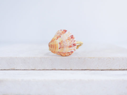 Coral Venus Shell Gold Ring from Portugal displayed on stone front view, patterned colorful pink orange red shell ring