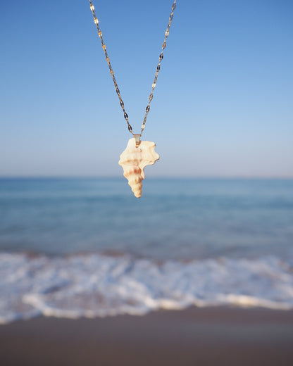 Seashell Pelican's Foot Shell Gold Deluxe Necklace with ocean background, Handpicked Pelicans Foot Shell from Portugal, Algarve Seashell Jewelry, Portuguese Beach 