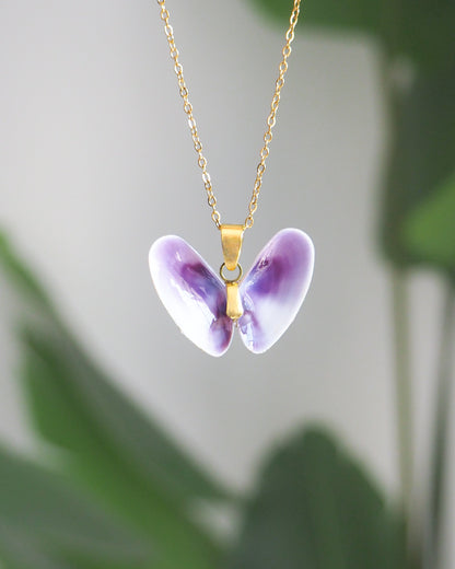 Purple Lovely Donax Coquina Shell Necklace front view