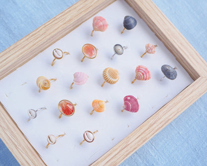 Side view of display with a mix of rings made with shells from Portugal. The colors are pink, fuchsia, yellow, grey and white. The shells are tiny venus shell, tiny limpet shells, tiny scallop shells and tiny cowrie shells. 