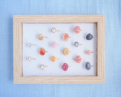 Front view of a display with a mix of rings made with shells from Portugal. The colors are pink, fuchsia, yellow, grey and white. The shells are tiny venus shell, tiny limpet shells, tiny scallop shells and tiny cowrie shells. 
