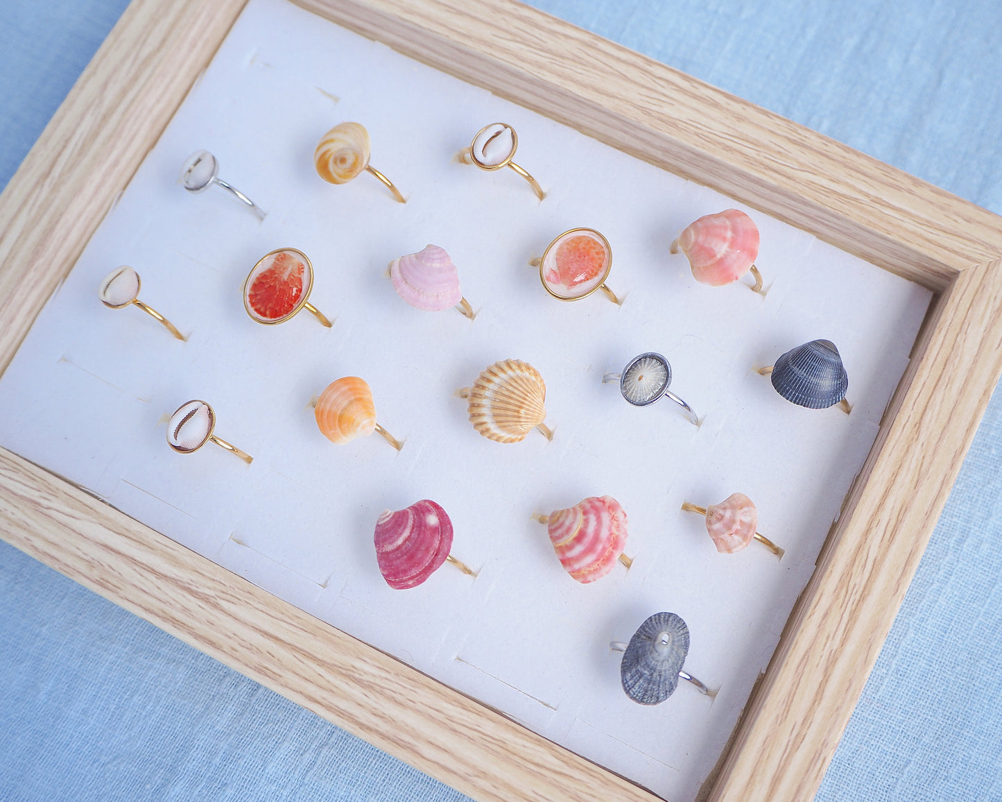Display with a mix of rings made with shells from Portugal. The colors are pink, fuchsia, yellow, grey and white. The shells are tiny venus shell, tiny limpet shells, tiny scallop shells and tiny cowrie shells. 