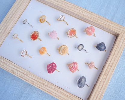 Display with a mix of rings made with shells from Portugal. The colors are pink, fuchsia, yellow, grey and white. The shells are tiny venus shell, tiny limpet shells, tiny scallop shells and tiny cowrie shells. 