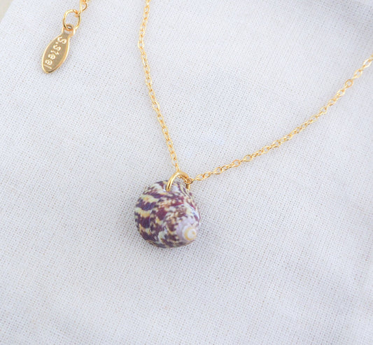 Rough Top Shell Gold Necklace on display
