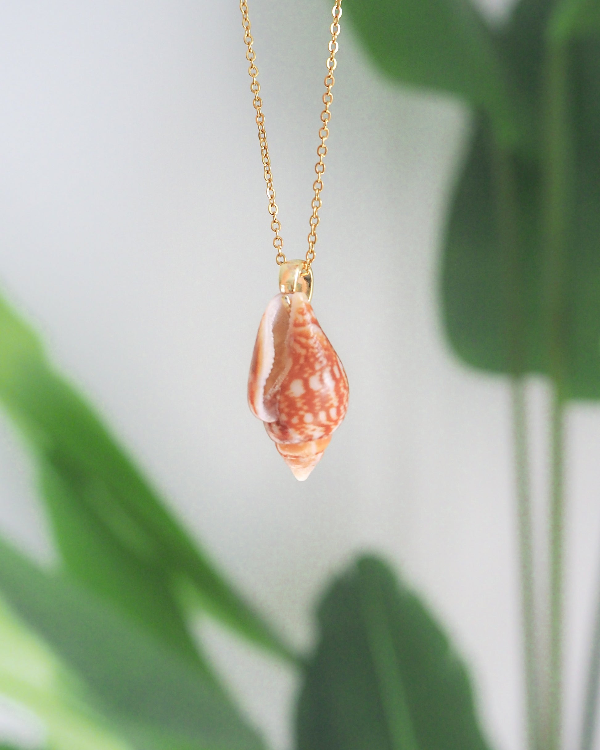 Close-up of Rustic Dove Shell Gold Necklace, Detailed view of the Rustic Dove Shell pendant from Portugal, Sea By Lou