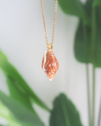 Close-up of Rustic Dove Shell Gold Necklace, Detailed view of the Rustic Dove Shell pendant from Portugal, Sea By Lou
